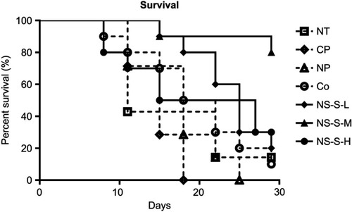 Figure 9 Percent survival in each group over time in days. The survival was expressed as % surviving from original number at time 0 (n=7 in NT, CP, NP groups, n=10 in Co [5 mg/kg], NS-S-L [5 mg/kg], NS-S-M [25 mg/kg] and NS-S-H [50 mg/kg] groups).Abbreviations: NT, no treatment; CP, cosolvent placebo; NP, nanosuspension placebo; NS-S-L, NS-S of low dose; NS-S-M, NS-S of medium dose; NS-S-H, NS-S of high dose; NS-S, CZ48 nanosuspension with particle size of 197.22 ± 7.12 nm.