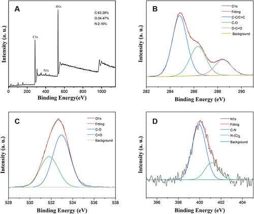 Figure 3 The XPS of MC-CDs. (A) Full-survey XPS data. (B) The high-resolution C1s spectrum. (C) The high-resolution O1s spectrum. (D) The high-resolution N1s spectrum.