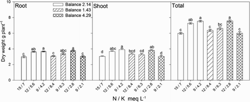 Figure 1. Effect of nitrogen (N) and potassium (K) balance and concentration in the nutrient solution on dry weight of lisianthus plants.