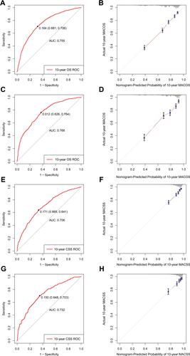 Figure 7 ROC curves and calibration plots of the nomograms for MA patients with ST≥5Y.