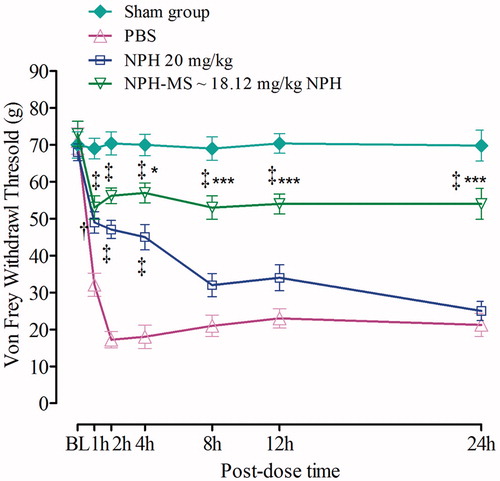 Figure 10. Effect of NPH-MS (p.o) on the paw withdrawal threshold as tested by von Frey test (n = 5 rats per group). *p < .05, ***p < .001 compared with NPH treated rats, ‡p < .001 compared with the control group.