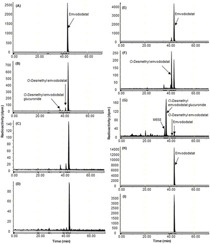 Figure 2. Representative HPLC radiochromatograms of 4 h (A), 24 h (B), 72 h (C) and 168 h (D) plasma, 0–24 h (E) and 24–144 h (F) faeces from intact rats, 0–24 h bile (G), 0–24 h (H), and 24–72 h (I) faeces from bile-duct cannulated rats following a single 40 mg/kg oral dose of 14C-emvododstat.