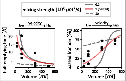 Figure 2. Estimating the strength of mixing in the colon. Measurements taken by Hammer and PhillipsCitation28 (black dots) are shown, together with simulation results with varying mixing strengths. We used the comparison between simulations and the measured data to estimate the actual strength of mixing in the human colon. The left panel shows the relation between inflow volume (flow velocity) and half-emptying time of content from the proximal colon; very strong mixing can be ruled out, as for slow flow velocities, it would lead to much lower half emptying times (dashed grey line) than are supported by the data (black dots). The right panel shows the relationship between inflow volume (flow velocity) with the fraction of particles that has passed the ascending colon after 4 hours. Using this data, we can rule out very weak mixing: with increasing flow velocity, one would observe a sharp jump from a regime where no particles have passed for low velocities to a regime where almost all particles have passed (solid grey line). This is also not supported by the data, which describes a much smoother dependence on flow velocity (black dots). Our best estimate for mixing strength that consolidates these two sets of data is shown as red curves in both panels.