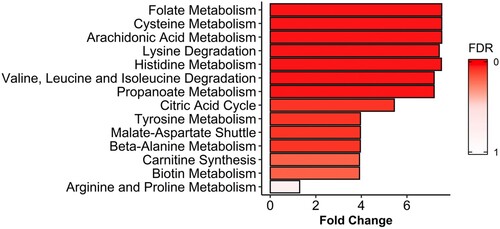 Figure 2. Metabolite set enrichment analysis (MSEA) of differentiating metabolites from A-TB patients and HHC-TB subjects. The horizontal bar graph shows most altered metabolic pathways with fold enrichment higher that 1 (increasing false discovery rate (FDR) values coloured from red to white).