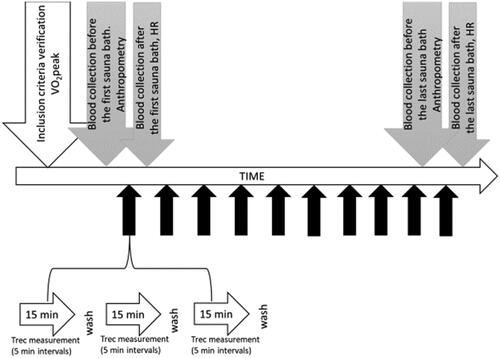 Figure 1. Study protocol.