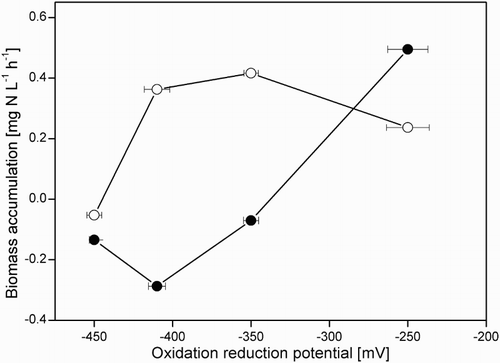 Figure 7. Biomass accumulation at different molar O2/H2S supply ratios, with (●) and without (○;) methanethiol.