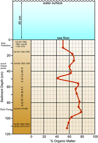 Figure 3. Schematic profile of K’ak’Naab’ sediment column, showing percent organic matter, AMS radiocarbon dates, and time periods. Base drawing by Mary Lee Eggart.