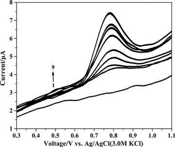 Figure 1. Differential pulse voltammograms of various concentrations of dinonyl diphenylamine (µg mL−1) at a glassy carbon electrode in supporting electrolyte: (1) 0, (2) 15.84, (3) 31.37, (4) 46.6, (5) 61.54, (6) 90.57, (7) 118.52, (8) 132.11, and (9)160.