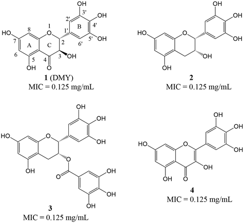 Figure 1. Structures of compounds 1-4 and their minimum inhibitory concentration (MIC) values against S. aureus ATCC 6538.