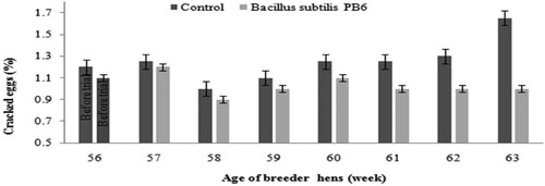 Figure 6. Effect of Bacillus subtilis PB6 supplementation on dirty eggs during 57–63 weeks of age. Values are presented as means ± Standard error.