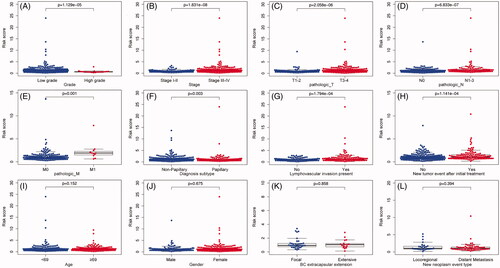 Figure 5. The relationship between the IAGs based signature and clinical characteristics. The IAGs based signature was associated with grade, stage, pathologic T, pathologic N, pathologic M, diagnosis subtype, lymphovascular invasion present and new tumour event after initial treatment (A–H), but not correlated with age, gender, BC extracapsular extension and new neoplasm event type in BC patients (I–L).