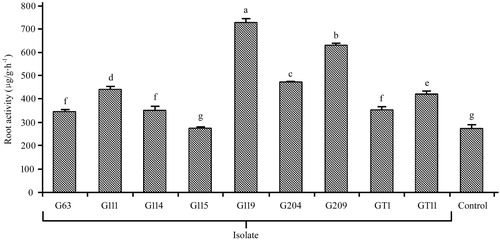 Figure 4. Effect of plant growth promoting bacteria on root activity in Panax ginseng. The experiments were repeated twice and 10 plants per set. Values are means±standard deviation. Different letters denote significant differences (p < .05) comparison between treatments based on a one-way ANOVA by Duncan’s test.