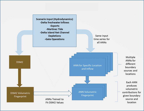 Figure 6. ANN training approach. The same input scenarios (Table 2) were provided as input to the DSM2 model and the ANN. Multiple ANNs were trained to represent different flows and locations, as explained in the text. Training involved fitting the ANN-calculated volumetric fingerprints to the DSM volumetric fingerprint.