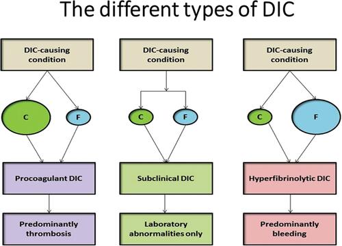 Figure 1 The different types of DIC and their clinical presentation. If there is predominance of coagulation pathway activation (denoted as C), in comparison with the fibrinolytic pathways (denoted as F), procoagulant DIC is the result. While the reverse leads to hyperfibrinolytic DIC.