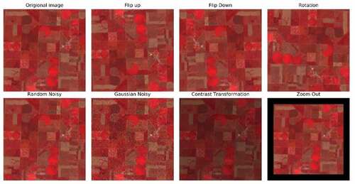 Figure 2. Example of data augmentation of flip-up/down, rotation, random noisy, gaussian noisy, contrast transformation, and zoom in/out.