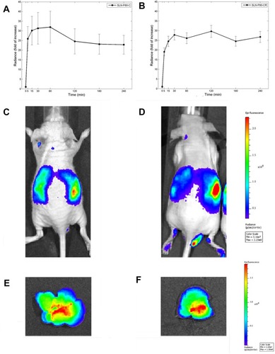 Figure 4 Plot of the kinetic uptake in the abdominal region (A, B) up to 4 h after injection; SLN biodistribution in living animals 3 h after ip injection (C, D), and fluorescent emission in excised and perfused liver (E, F). (A, C and E) refer to SLN-CG; (B, D and F) refer to SLN-CG/RH.