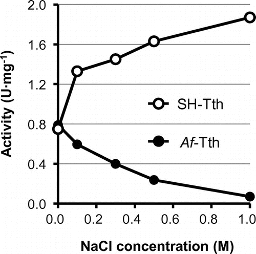 Figure 4. Effect of NaCl concentration on the 4THase activity of SH-Tth (open circle) and Af-Tth (closed circle). Assays were performed at 30 °C for 0, 60, 90 and 120 min in each NaCl concentration. The composition of the reaction mixture is described in the Materials and Methods section.
