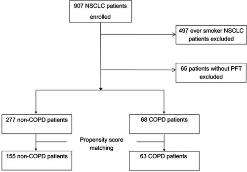 Figure 1 Flowchart of the patients enrolled in the study.