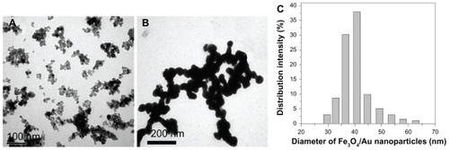 Figure 2 Transmission electron microscopic images of (A) Fe3O4 and (B) Fe3O4/Au. Diameter distribution of (C) Fe3O4/Au nanoparticles.