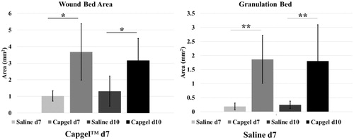 Figure 5. Quantification of (A) wound bed and (B) granulation bed areas in control and Capgel™-treated wounds. Wound bed area and granulation bed area are significantly increased in Capgel™-treated mice as the material resists contracture. p<.05 (*), p < .01 (**).