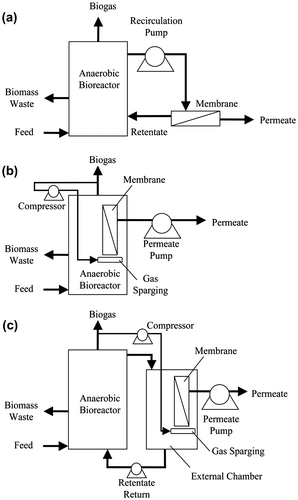 Fig. 2. AnMBR configurations: (a) side-stream (external, cross-flow) configuration—pressure-driven membrane, (b) submerged configuration with membrane immersed directly in the reactor—vacuum-driven membrane, and (c) submerged configuration with membrane in separate chamber—vacuum-driven membrane (figure adopted from Ref. [Citation4]).