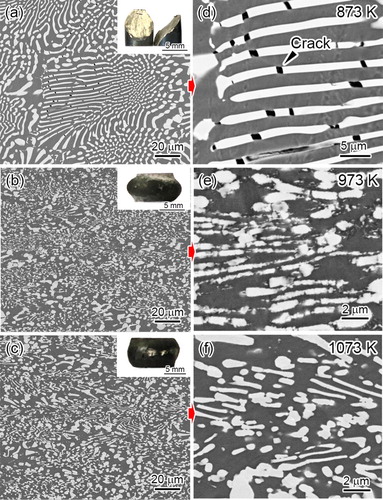 Figure 4. (a, b, c) Low magnification and (d, e, f) enlarged SEM BSE images showing post-deformation microstructures of the annealed EHEA samples compressed at 873, 973, and 1073 K, respectively.