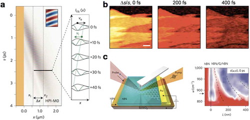 Figure 18. Ultrafast near-field optics. (a) The experimentally extracted propagation of type-1 HPPs in the space-time domain [Citation133]. The yellow region represents the gold antenna launching polaritons. The inset shows zoom into the fringe patterns. Right panel: the line profiles for different time delays. The black and green solid lines show the envelope of the fringe patterns (group velocity) and intrinsic fringe patterns (phase velocity), respectively. (b) Near-infrared (NIR) pump-induced changes in the near-field amplitude of graphene for different pump–probe time delays [Citation137]. The pump and probe lasers are 1.56 μm and broadband mid-infrared pulses, respectively. Δs and s represent the NIR-pump-induced change and near-field amplitude of graphene without NIR excitation, respectively. The dark region in near-field images represents SiO2 substrate. Different optical contrast is caused by different layered graphene. Scale bar, 1 μm. (c) Ultrafast controlling of photo-induced plasmon polaritons in graphene encapsulated by two hBN layers [Citation136]. Left panel: the schematic of pump–probe s-SNOM setup. Right panel: the two-dimensional hyperspectral map of photo-induced plasmons in hBN/graphene/hBN device. The black solid line gives the edge of device. The pump laser is at 1.56 μm. The probe beam spans frequencies from 830 to 1000 cm−1. (a) Reproduced with permission [Citation133]. Copyright 2015, Nature Publishing Group. (b) Reproduced with permission [Citation137]. Copyright 2014, American Chemical Society. (c) Reproduced with permission [Citation136]. Copyright 2016, Nature Publishing Group.