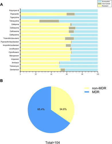 Figure 1 Antimicrobial susceptibility profiles of clinical A. baumannii isolates. (A) Resistance rate of all strains to 18 antimicrobials; (B) approximately 65.4% of isolates exhibited MDR (including XDR).