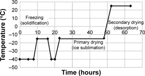 Figure 1 Diagram of freeze drying process.