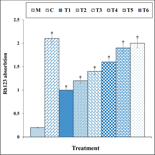 Figure 10. The mitochondrial membrane potential of different treatments after 48 h.M: Methadone, C: Control, T1: 100μM methadone and 2μg of Cu(NO3)2, T2: 100μM methadone and 4μg of Cu(NO3)2, T3: 100μM methadone and 2μg of N. sativa, T4: 100μM methadone and 4μg of N. sativa, T5: 100μM methadone and 2μg of CuNPs, T6: 100μM methadone and 4μg of CuNPs.*indicate the significant difference (p ≤ 0.01) between experimental groups with methadone group.
