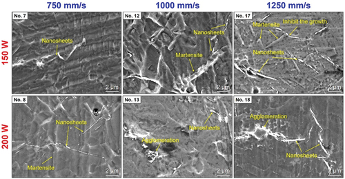 Figure 9. High-magnification SEM images of as-printed samples, showing morphology and distribution of remained MXene nanosheets and their effect on the Ti matrix.