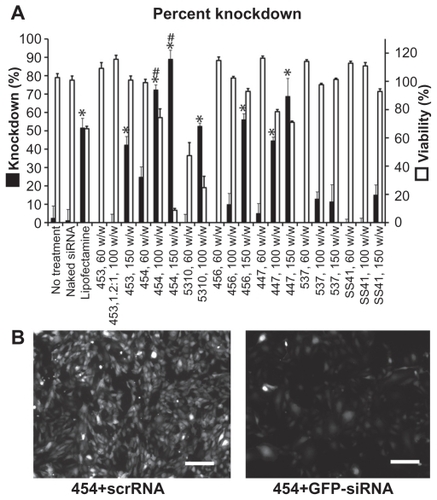 Figure 8 Flow cytometry (A) and fluorescence microscopy with polymer 454 at 100 w/w, exposure time 100 msec on the green fluorescent protein channel (B) both show significant green fluorescent protein knockdown after treatment with green fluorescent protein-siRNA compared with scrRNA.Notes: *P < 0.05 significant knockdown compared with no treatment control; #P < 0.05 significant knockdown compared with Lipofectamine™ 2000 positive control. Scale bar in (B) 200 μm.