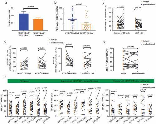 Figure 5. High infiltration of CCR5+CD66b+TINs in MIBC could be associated with superior pembrolizumab response. (a) Quantification analysis (left) of PD-1 expression level between CCR5+TIN high/low subgroups in MIBC tissue microarray (TMA) by immunohistochemistry (IHC) (n = 141). (b) Flow cytometric analysis (right) of the PD-1+CD8+T cell frequencies of CD8 T cells (n = 40) between CCR5+CD66b+TINs high/low subgroups in fresh samples of MIBC. CCR5+CD66b+TINs High/low were grouped by median. (a-b) Data were analyzed using Mann-Whiney U test, and presented as mean ± SEM. (c) Flow cytometric analysis (left) of the Annexin V+ PI+ cells frequencies and Ki67+ cells frequencies of CD45−EpCAM+epithelial cells (n = 24) in fresh samples treated with isotype or Pembrolizumab for 12 hours. (d) Flow cytometric analysis of the Annexin V+PI+ cells frequencies and Ki67+ cells frequencies of CD45−EpCAM+epithelial cells (n = 24) in CCR5+CD66b+TINs high/low subgroups. (e) Flow cytometric analysis of the IFN-γ+ cells frequencies of CD66b+TINs cells (n = 16) in fresh samples treated with isotype or pembrolizumab for 12 hours. (f) Flow cytometric analysis of the Ki67+, PRF-1+, IFN-γ+, GZMB+, IL2+, TNF-α+ cells frequencies of CD8 T cells (n = 24) in fresh samples treated with isotype or pembrolizumab for 12 hours. (d, f) CCR5+ CD66b+TINs High/low were grouped by median. (c-f) Data were analyzed using Wilcoxon signed-rank test, and presented as mean ± SEM. IFN = interferon; GZMB = granzyme B; PRF-1 = perforin; TNF = Tumor Necrosis Factor.