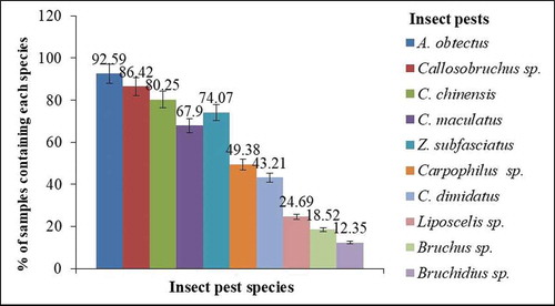 Figure 2. Frequency of occurrence of insect pests of stored faba bean in the study area
