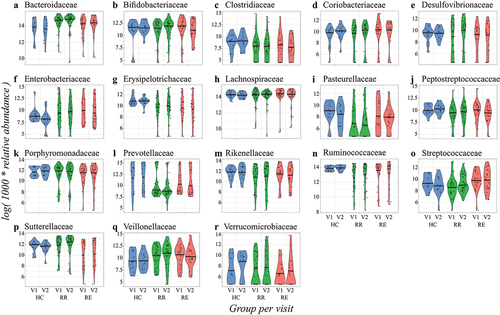 Figure 1. Violin plots of the transformed relative abundances of the base case bacterial families per group (genera in S4 Fig. and families outside the base case criterium in S7 Fig.). In blue the healthy controls, in green the RR group, and in red the RE group, all visualized per timepoint (V1 = visit 1 and V2 = visit 2). Patients in the RE group are in remission during the first visit and experience an exacerbation during the second visit. The 50% quantile is shown with a black horizontal line.