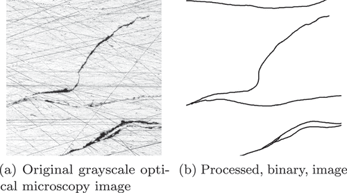 Figure 6. Example of conversion from optical microscopy images to binary images. The shown images are 1.5mm×1.5mm.