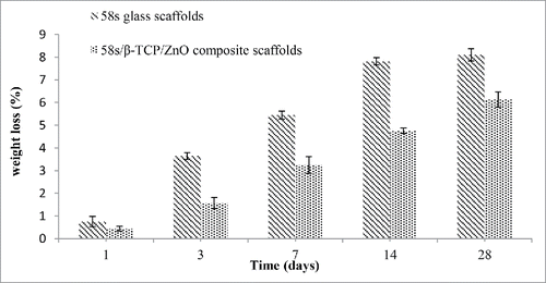 Figure 3. Weight losses for 58s glass scaffolds and 58s glass/β-TCP/ZnO composite scaffolds after soaking in SBF at different time.