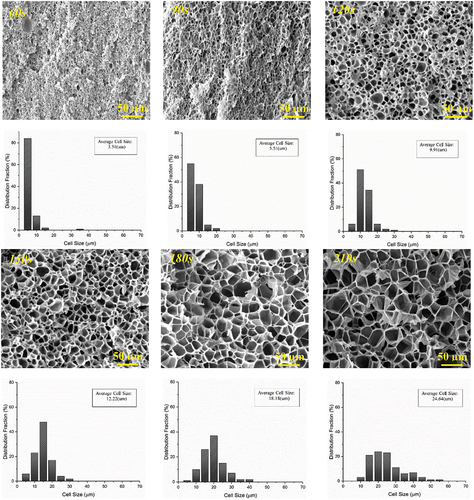 Figure 6. SEM micrographs and cell size distribution of microwave-assisted PS/G1 foams created at various radiation times.