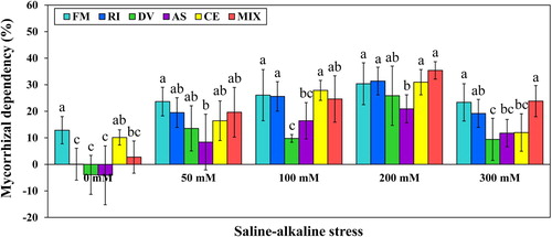Figure 8. Mycorrhizal dependency (MD) of L. chinensis under saline-alkaline stress. NM, FM, RI, DV, AS, CE and MIX represent plants inoculated without AMF, or with F. mosseae, R. intraradices, D. versiformis, A. scrobiculata, C. etunicatum and mixture of five AMF species, respectively. Plants were subjected to 0, 50, 100, 200, and 300 mM saline-alkaline stress. The results are presented as the mean ± SD of five replicates. Different black and blue letters indicate significant differences in parameters among different AMF inoculation treatments based on Duncan’s test (P < 0.05).