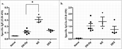 Figure 1. Effects of LNIT with DN-Dp on systemic immune responses. Serum concentrations of antigen-specific IgE (a) and IgG2a (b) were measured by ELISA. Values are expressed as mean±SEM of optical density (O.D.) at 450 nm of mice in each group. *P<0.05, compared to the denatured Der p and non-treatment groups.