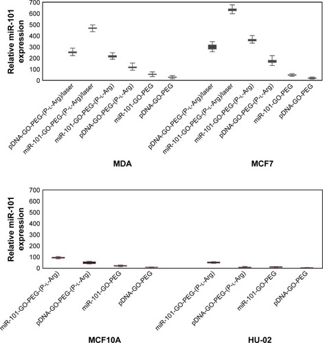 Figure 10 Relative expression of nanoplatforms/miR-101 (4:1), naked miR-101, and laser-irradiated nanoplatforms/miR-101. All samples have a negative control and repeated three times.Abbreviations: GO, graphene oxide; PEG, polyethylene glycol; P-l-Arg, poly-l-arginine.