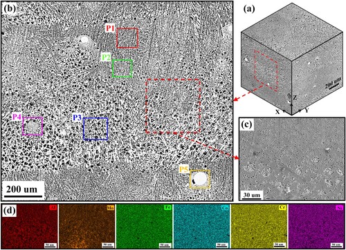 Figure 4. (a) Three-dimensional and (b) X-Z section OM observations of the microstructure in as-deposited AlMo0.25FeCoCrNi2.1 alloy. (c) High-magnification SEM image and (d) associated EDS results of the microstructure selected in the middle region of banded layers shown in (b).