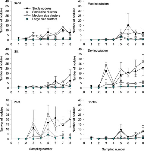 Figure 4. The number of single nodules and nodule clusters (small, medium and large) as the effect of soil type (sand, silt and peat) and IS (wet and dry inoculation and control) during eight sampling dates (1–8) from early June to early October 2018 (pot experiment, Fureneset). Vertical bars represent the standard error of the means.