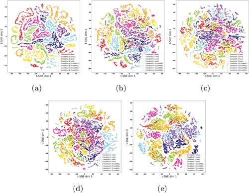 Figure 9. t-SNE visualisation of the latent space of MD2N: (a) before training, (b) after 100 epochs, (c) after 200 epochs, (d) after 300 epochs, and (e) after training.