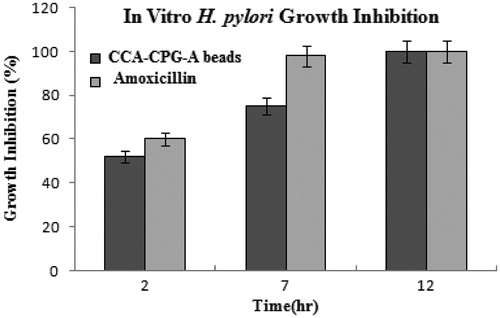 Figure 9. In vitro H. pylori growth inhibition study.