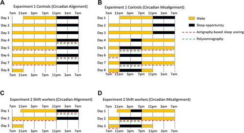 Figure 1 Experiment protocols. (A and B) Two 8-day protocols in Experiment 1 were designed for non-shift workers, including (A) a circadian alignment protocol with nighttime sleep and (B) a misalignment protocol with nighttime sleep from Day 1 to Day 3, an afternoon nap on Day 4, and daytime sleep from Day 5 to Day 8. (C and D) Two 3-day protocols in Experiment 2 were designed for chronic shift workers, including (C) a circadian alignment protocol with nighttime sleep and (D) a misalignment protocol with an afternoon nap on Day 1 followed by nighttime sleep on Days 2–3.
