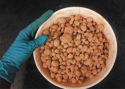 Figure 3. Calcined clay-rice husk pellets.