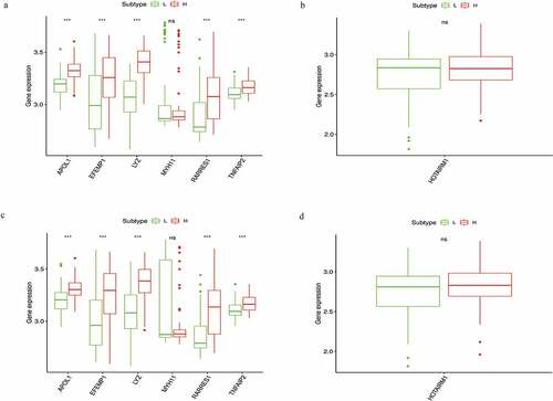 Figure 6. Verification of six mRNAs (APOL1, EFEMP1, LYZ, MYH11, RARRES1, and TNFAIP2) and one lncRNA (HOTAIRM1) of high vs. low immune score groups (a, b) and high vs. low stromal score groups (c,d) in GEO database