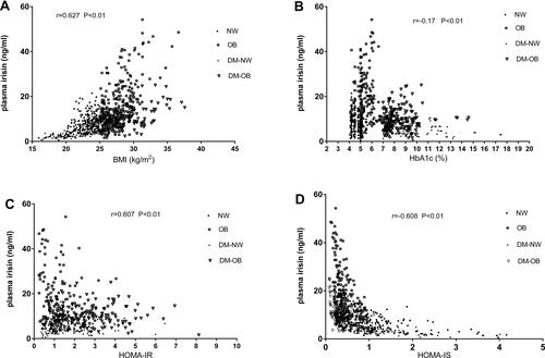 Figure 1 The correlation of plasma irisin with BMI (A), HbA1c (B), HOMA-IR (C) and HOMA-IS (D).