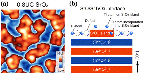 Figure 8. SrO x film grown on SrTiO3 (001)−(√13 × √13)-R33.7° reconstructed substrate surface. (a) STM image of 0.8-UC-thick SrO x film (15 × 15 nm2, V s = +1.9 V, I t = 30 pA, T = 78 K). (b) Schematic illustration of the SrO x -deposited SrTiO3(001)−(√13 × √13)-R33.7° reconstructed surface. The formation of SrO x islands induces the generation of defects on the surrounding substrate surface. Excess Ti ions on the (√13 × √13)-R33.7o surface are distributed on top of the SrO x island or incorporated into the SrO x island.